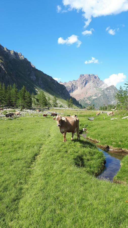 La Piana Appartamenti Алпе Деверо Екстериор снимка